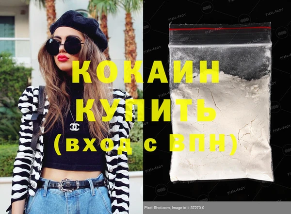 индика Нязепетровск