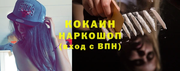 индика Нязепетровск