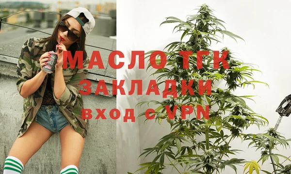 индика Нязепетровск