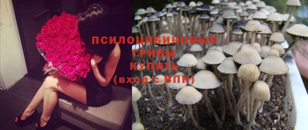 индика Нязепетровск