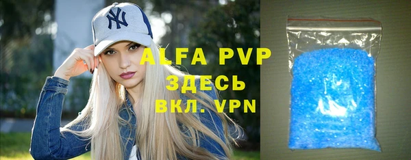 индика Нязепетровск