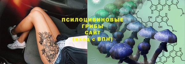 мет Нягань