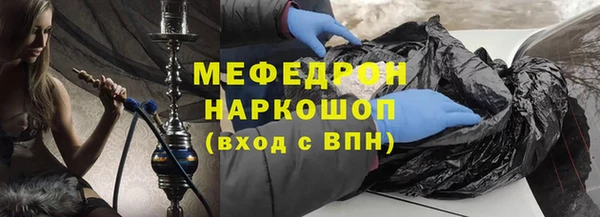 индика Нязепетровск